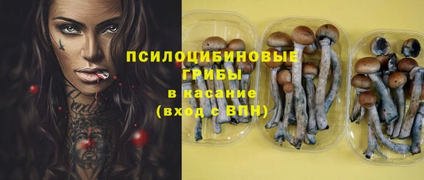 не бодяженный Корсаков