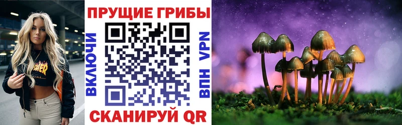 Галлюциногенные грибы мицелий  Купить  Калач 